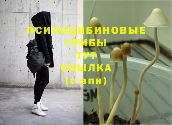гашиш Алзамай