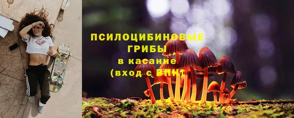 экстази Алексин